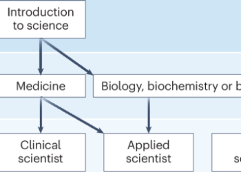 Empowering Tomorrow’s Innovators: How Systems Education is Shaping the Future of Science and Medicine