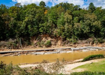 Helene’s Game-Changing Impact on the Ecology and Habitats of Western North Carolina