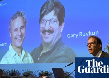 Unlocking the Secrets of Life: Scientists Win Nobel Prize for Breakthroughs in MicroRNA Research!