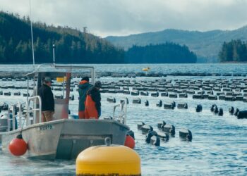 Reviving Prince of Wales Island: Can Mariculture Transform its Economy and Ecosystem