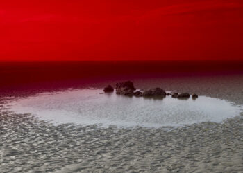 Through the Lens: A Photographer’s Mission to Uncover an Ecological Catastrophe