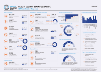 Unveiling the Crisis: August 2024 Health Sector Overview in Syria – HCT’s Coordinated Response Infographic
