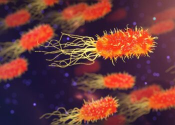 Unleash Your Creativity: Join Us in Celebrating The Beauty of Science 2025!