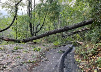 Red Cross Rallies to Support Communities Reeling from Helene’s Devastation