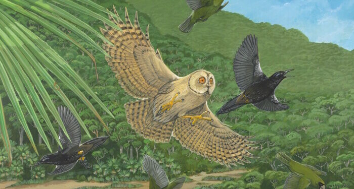 Illustration of 5 birds in a tropical landscape