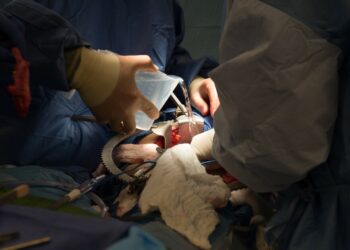 Unlocking Medicare: Essential Insights for Pennsylvania Patients During the 2024 Open Enrollment!