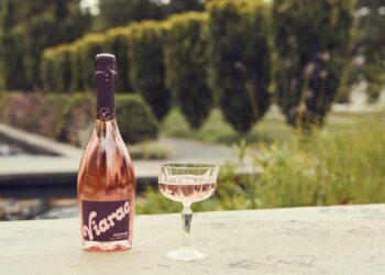 Elevate Your Everyday: Must-Have Lifestyle Products That Launched This October!