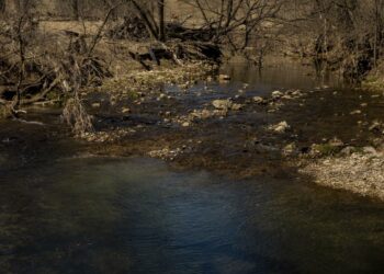 Judge Orders DNR to Prioritize Environment and Health in Water Permit Decisions!