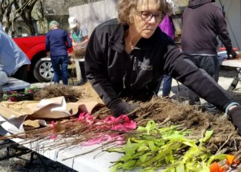 Ecology Action Center Launches Exciting New 2071 Fund to Empower Environmental Change!