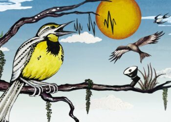 How AI is Revolutionizing Our Understanding of Bird Migration