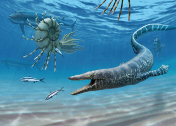 Unveiling the Past: Fascinating New Discoveries in Mosasaur Evolution and Paleoecology!