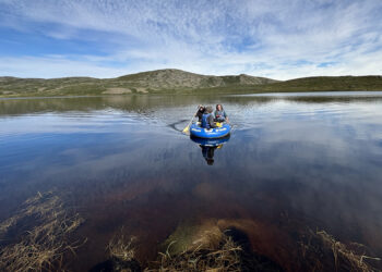 The field team sampling a lake near Kangerlussuaq, Greenland, that browned after the extreme events.