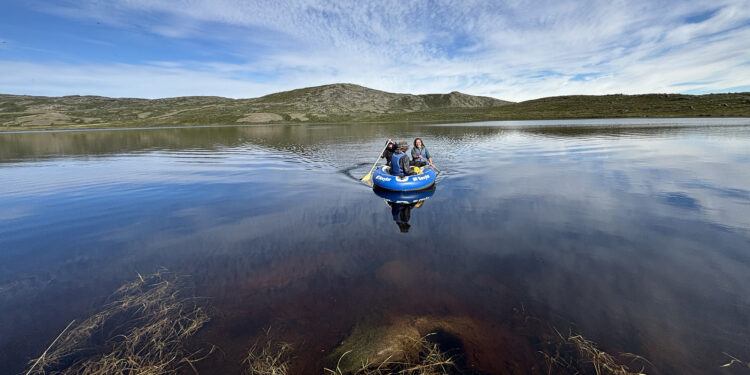 The field team sampling a lake near Kangerlussuaq, Greenland, that browned after the extreme events.