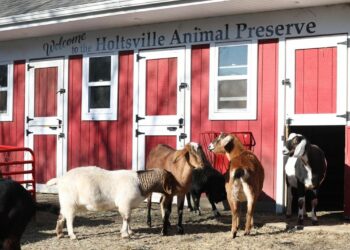 Ex-Holtsville Zoo Employee Reveals Shocking New Allegations About the Facility