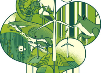 Your Voice Matters: Share Your Thoughts on the New Ecology Code Drafts!