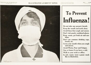 How fowl flu differs from seasonal flu − an infectious illness researcher explains